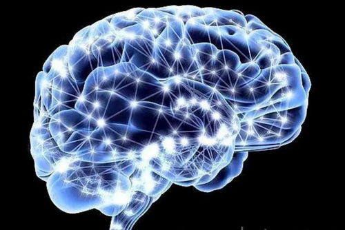 業(yè)余初段的傳奇 技術(shù)如何將普通人名字鐫刻在圍棋史冊